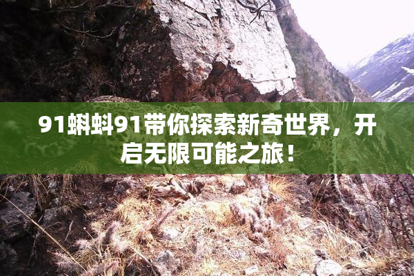 91蝌蚪91带你探索新奇世界，开启无限可能之旅！