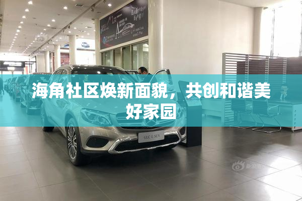 海角社区焕新面貌，共创和谐美好家园