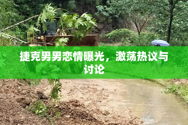 捷克男男恋情曝光，激荡热议与讨论