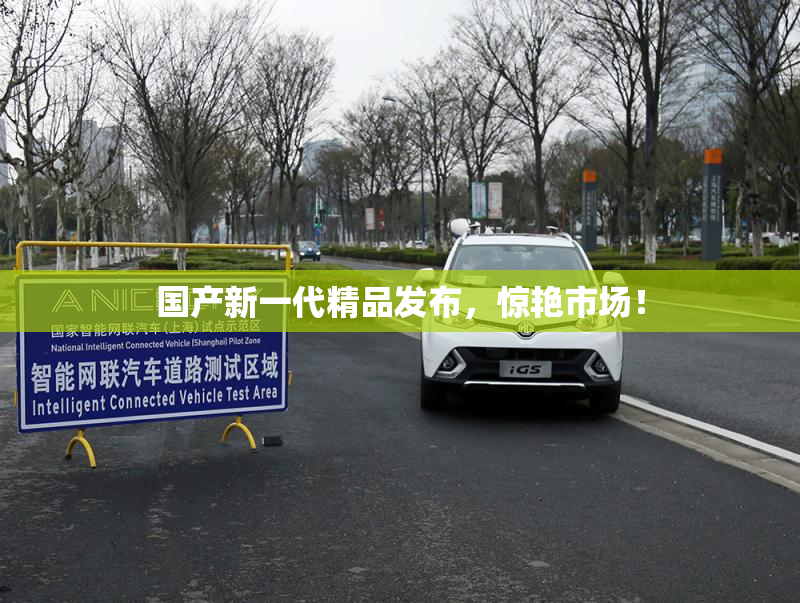 国产新一代精品发布，惊艳市场！