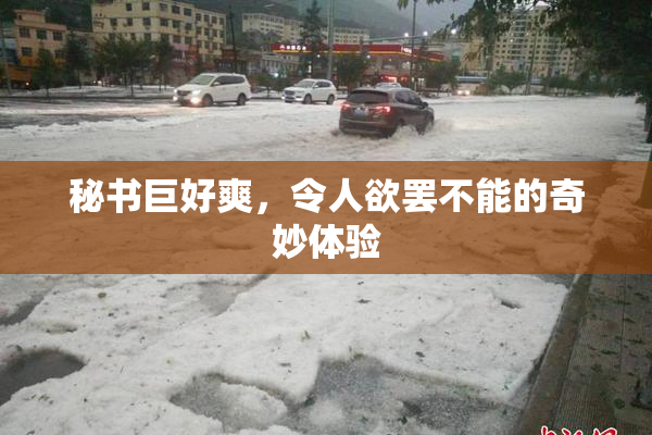 秘书巨好爽，令人欲罢不能的奇妙体验