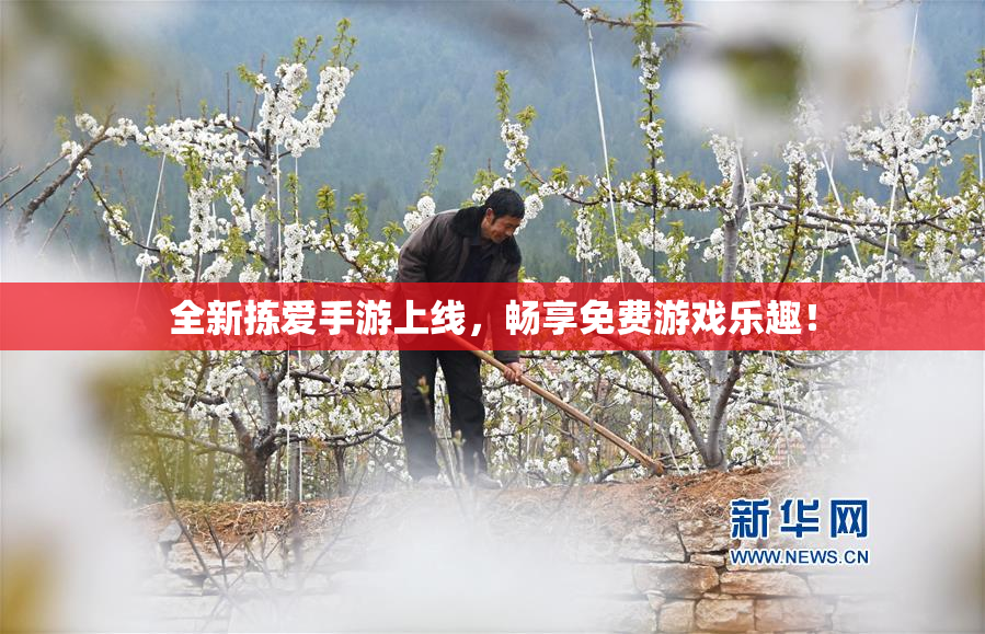 全新拣爱手游上线，畅享免费游戏乐趣！
