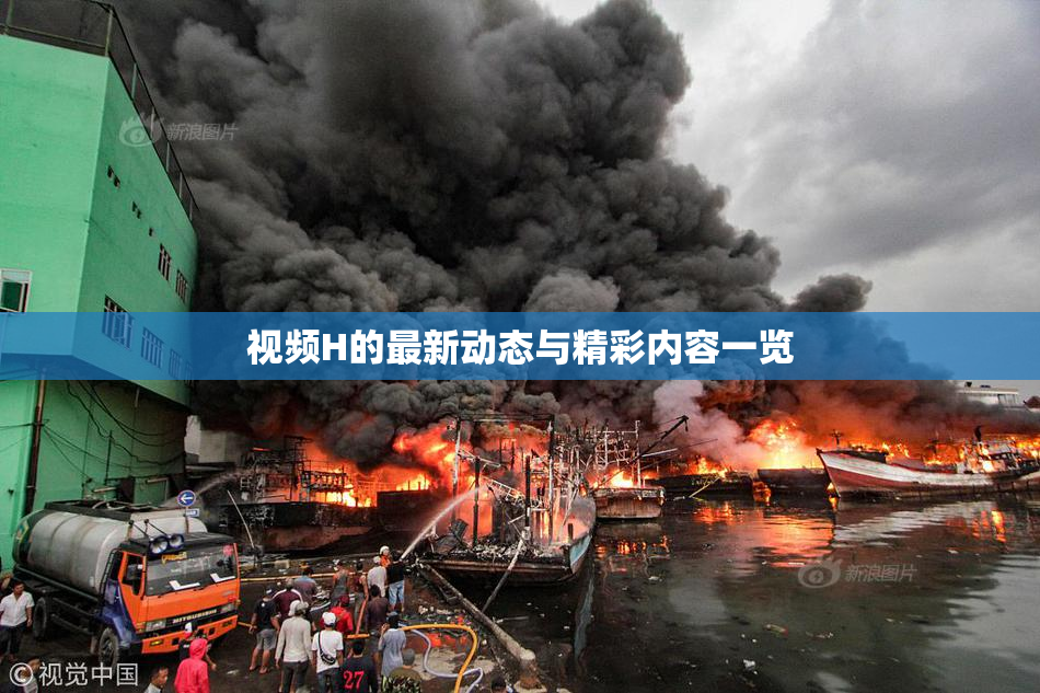 视频H的最新动态与精彩内容一览