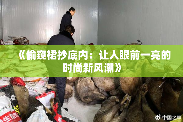 《偷窥裙抄底内：让人眼前一亮的时尚新风潮》