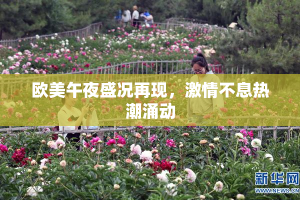 欧美午夜盛况再现，激情不息热潮涌动