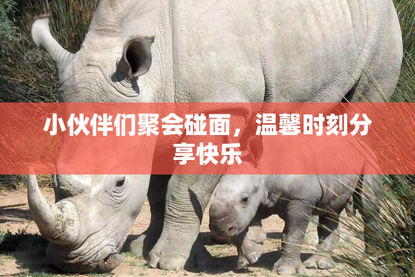 小伙伴们聚会碰面，温馨时刻分享快乐