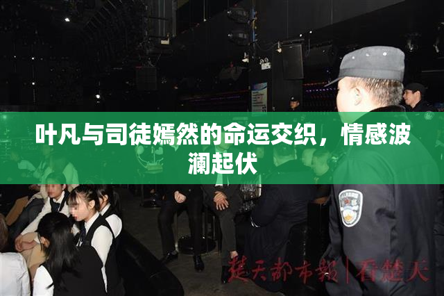 叶凡与司徒嫣然的命运交织，情感波澜起伏