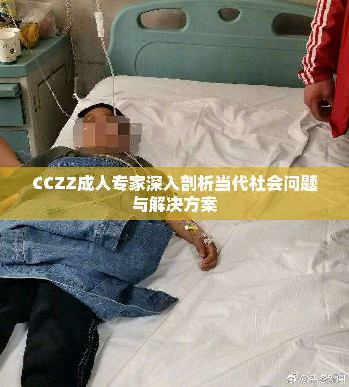CCZZ成人专家深入剖析当代社会问题与解决方案