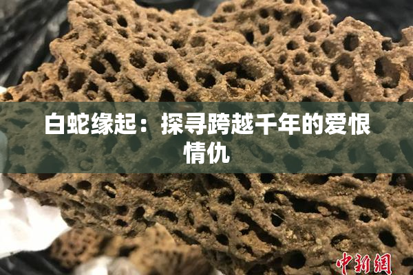 白蛇缘起：探寻跨越千年的爱恨情仇