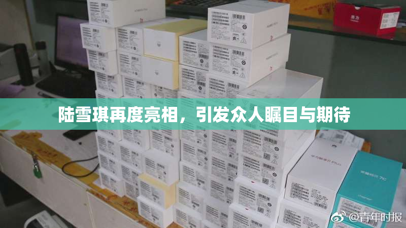 陆雪琪再度亮相，引发众人瞩目与期待