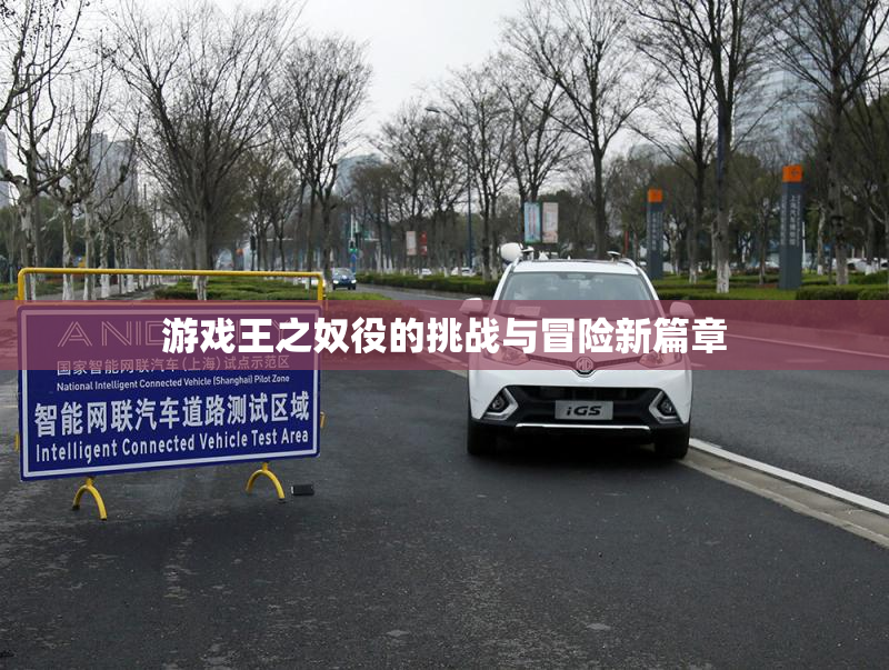 游戏王之奴役的挑战与冒险新篇章
