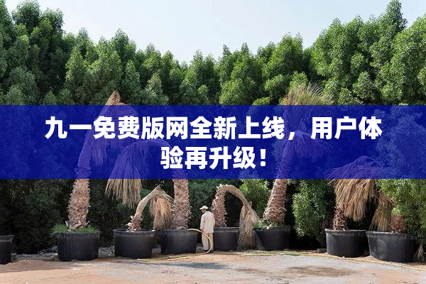 九一免费版网全新上线，用户体验再升级！