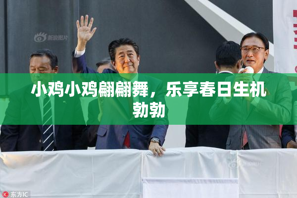 小鸡小鸡翩翩舞，乐享春日生机勃勃