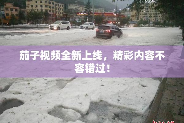 茄子视频全新上线，精彩内容不容错过！