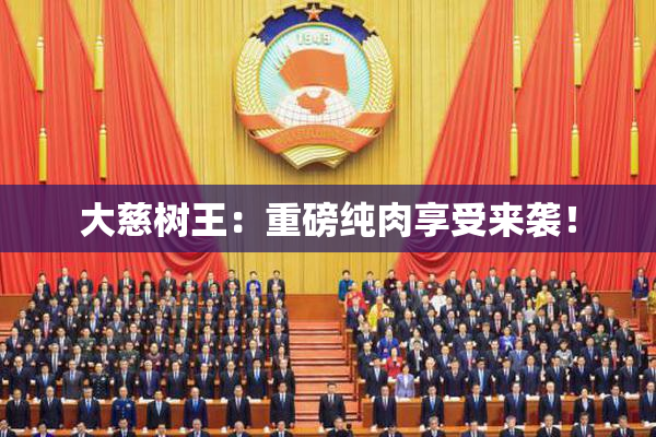 大慈树王：重磅纯肉享受来袭！