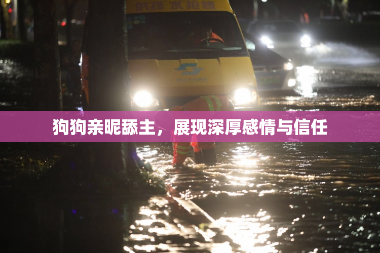 狗狗亲昵舔主，展现深厚感情与信任