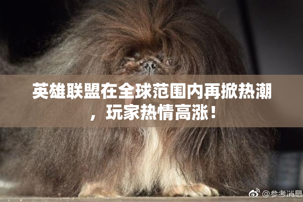 英雄联盟在全球范围内再掀热潮，玩家热情高涨！