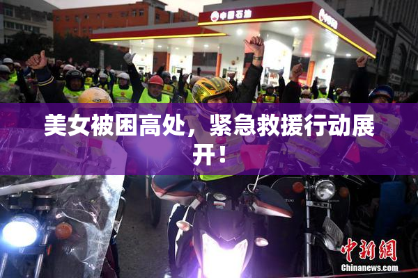 美女被困高处，紧急救援行动展开！