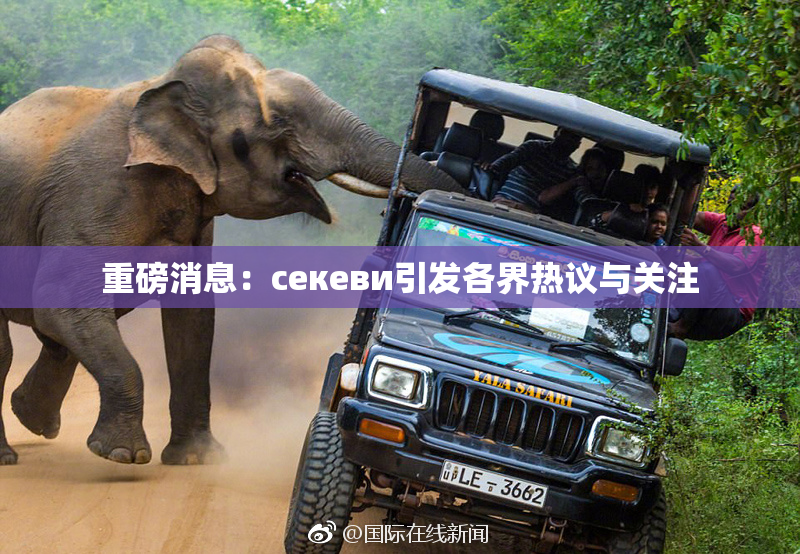 重磅消息：ceкеви引发各界热议与关注