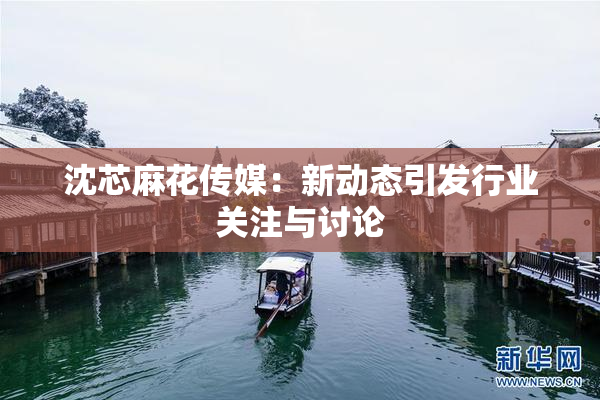 沈芯麻花传媒：新动态引发行业关注与讨论