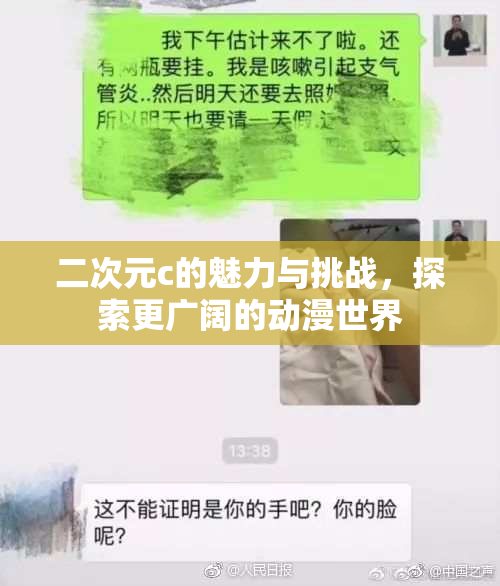 二次元c的魅力与挑战，探索更广阔的动漫世界