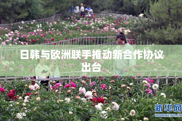 日韩与欧洲联手推动新合作协议出台