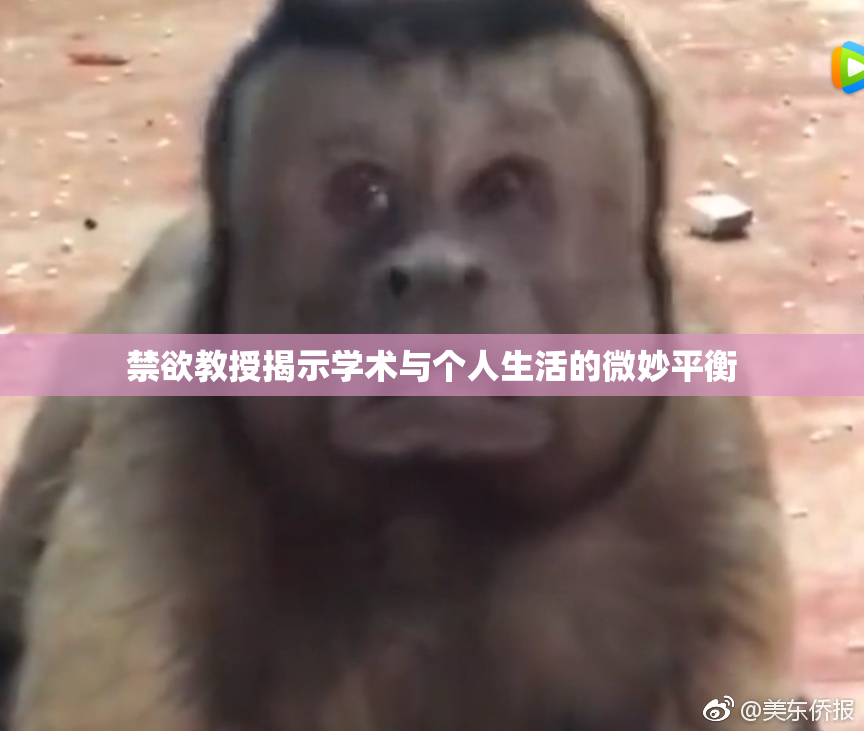 禁欲教授揭示学术与个人生活的微妙平衡