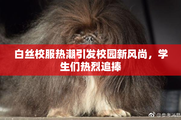 白丝校服热潮引发校园新风尚，学生们热烈追捧