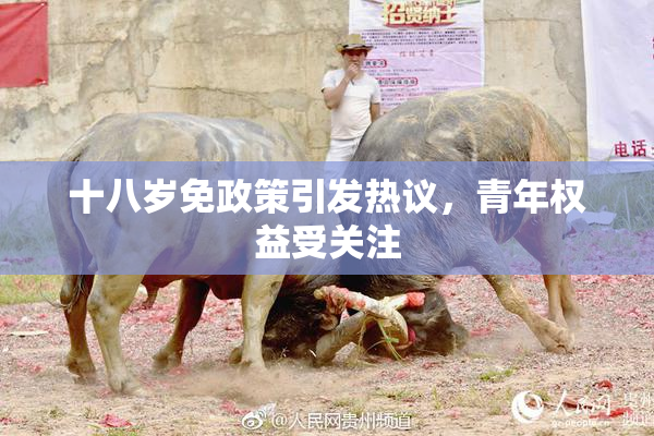 十八岁免政策引发热议，青年权益受关注