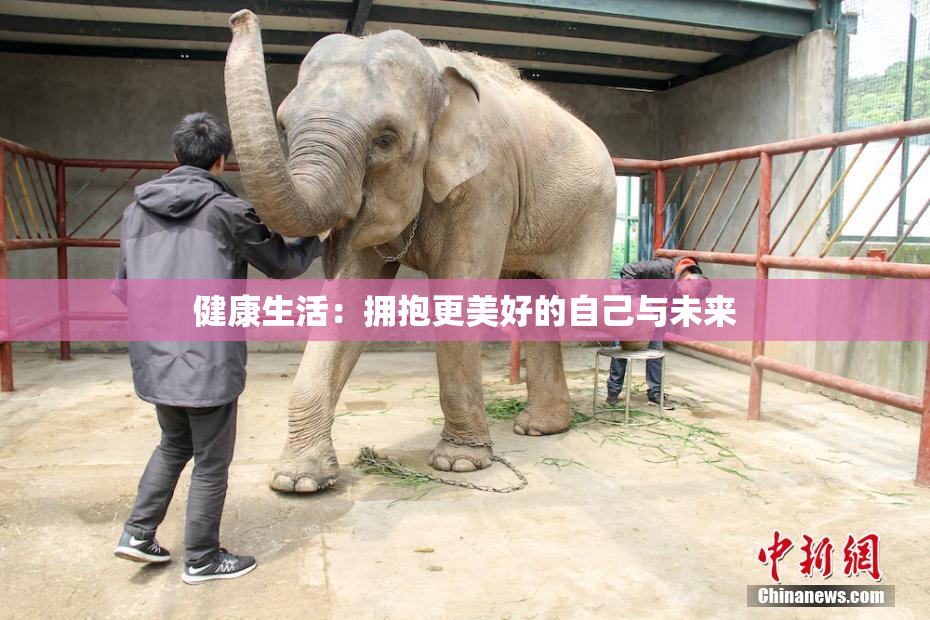 健康生活：拥抱更美好的自己与未来