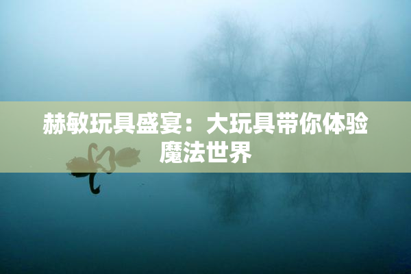 赫敏玩具盛宴：大玩具带你体验魔法世界