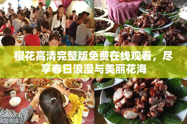樱花高清完整版免费在线观看，尽享春日浪漫与美丽花海