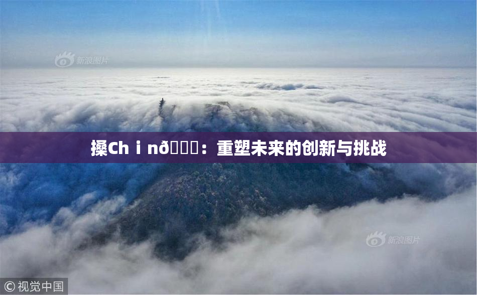 搡Chⅰn🈚：重塑未来的创新与挑战