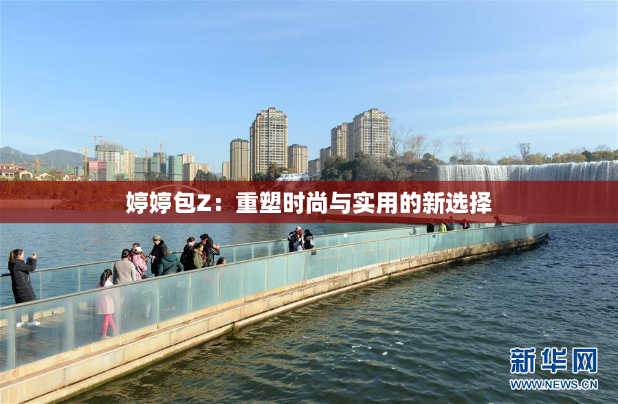 婷婷包Z：重塑时尚与实用的新选择