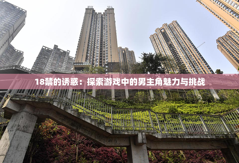 18禁的诱惑：探索游戏中的男主角魅力与挑战