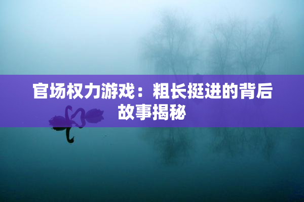 官场权力游戏：粗长挺进的背后故事揭秘