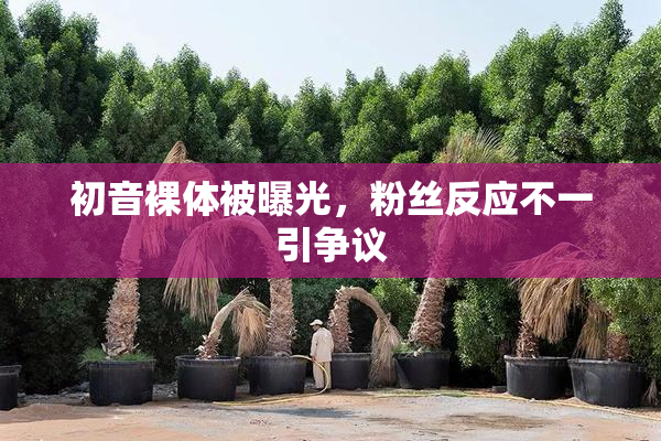 初音裸体被曝光，粉丝反应不一引争议