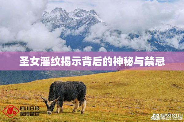 圣女淫纹揭示背后的神秘与禁忌
