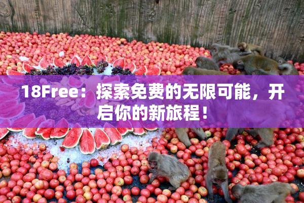 18Free：探索免费的无限可能，开启你的新旅程！