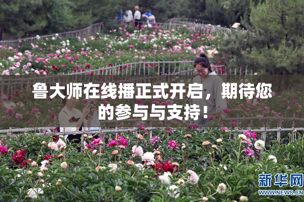 鲁大师在线播正式开启，期待您的参与与支持！