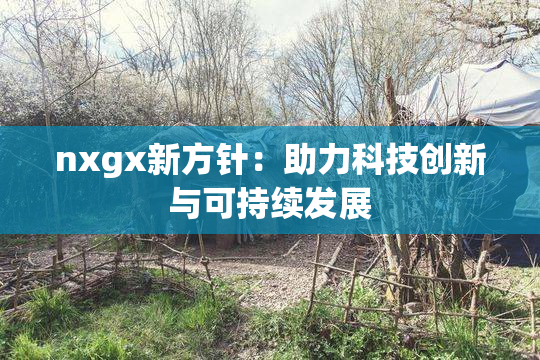 nxgx新方针：助力科技创新与可持续发展
