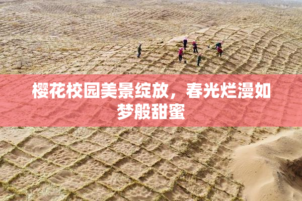 樱花校园美景绽放，春光烂漫如梦般甜蜜