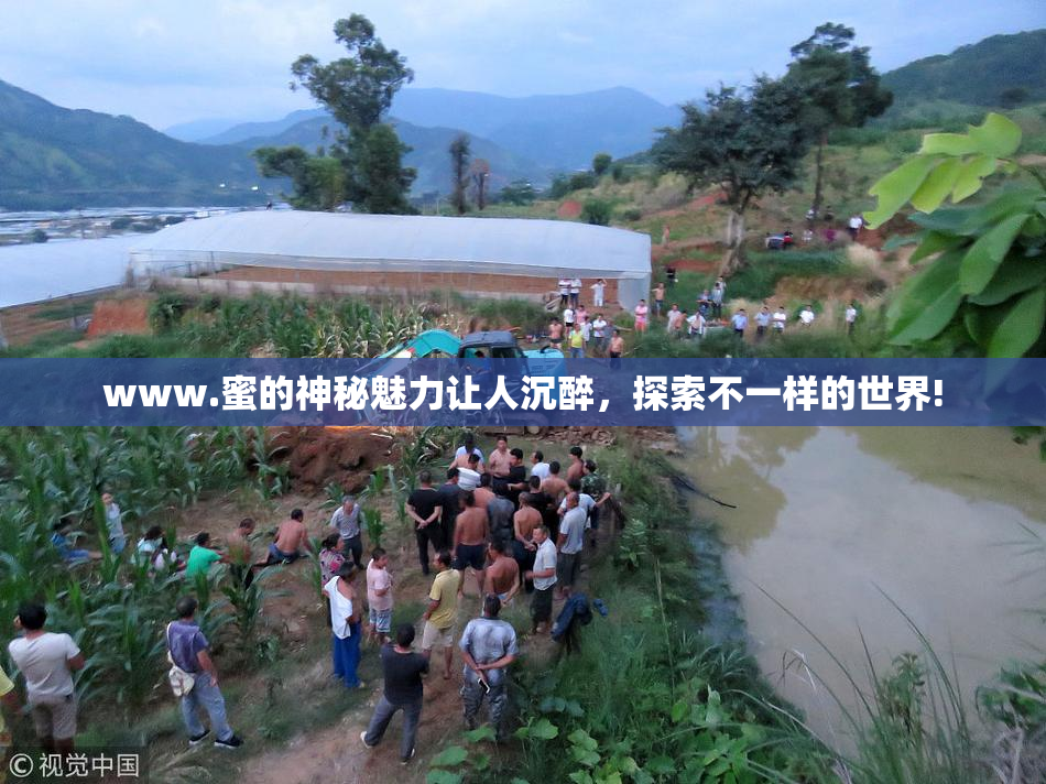 www.蜜的神秘魅力让人沉醉，探索不一样的世界!