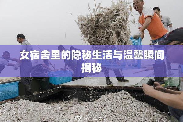 女宿舍里的隐秘生活与温馨瞬间揭秘