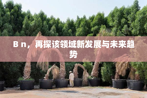 B n，再探该领域新发展与未来趋势
