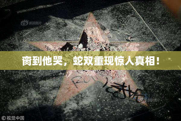 脔到他哭，蛇双重现惊人真相！