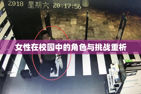 女性在校园中的角色与挑战重析