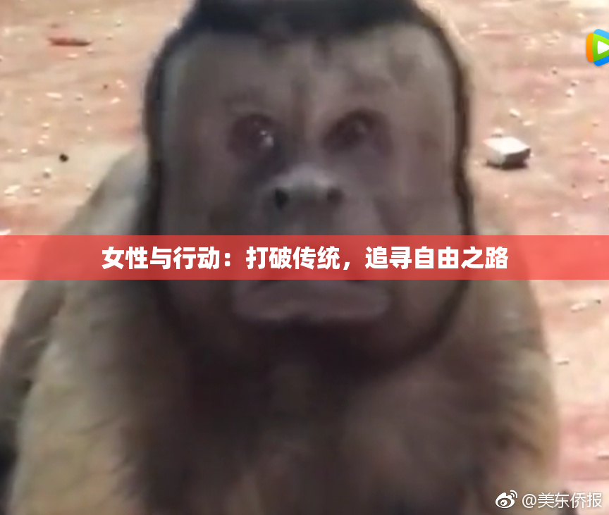 女性与行动：打破传统，追寻自由之路