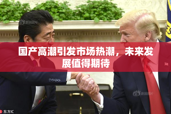 国产高潮引发市场热潮，未来发展值得期待