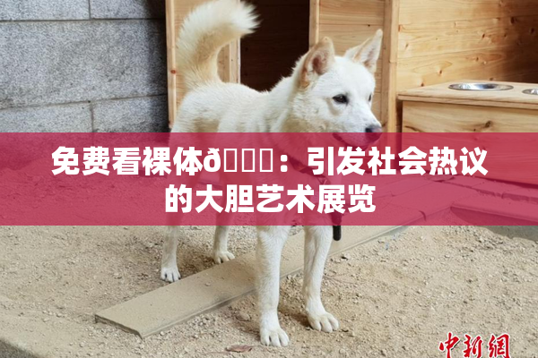免费看裸体🔞：引发社会热议的大胆艺术展览
